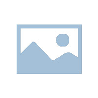 广东天地网碰碰车厂家